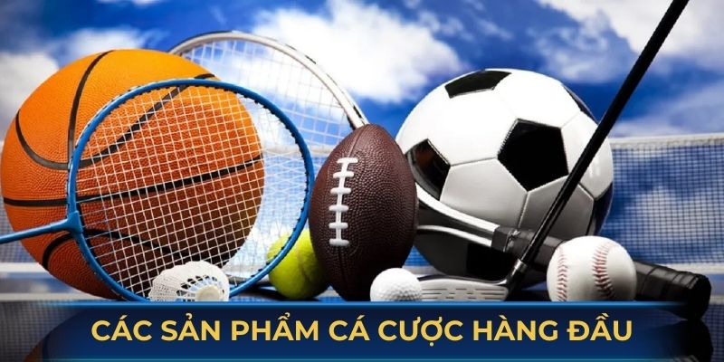 Tìm hiểu các sản phẩm cá cược hàng đầu